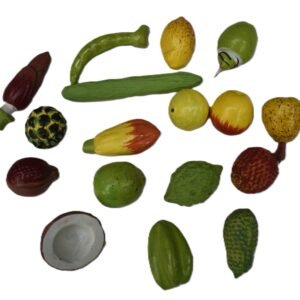 RGD VEGTABLES & FRUITS
